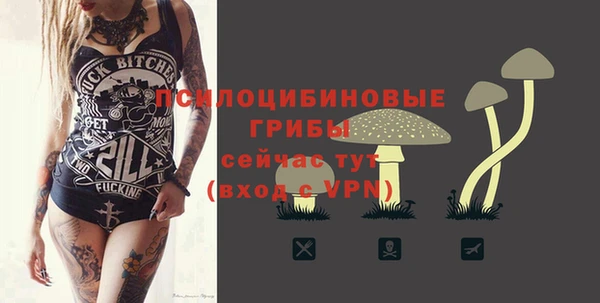 круглые Белокуриха