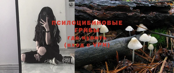 круглые Белокуриха